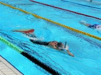 Championnats arabes de nage avec palmes vitesse : l’Algérie vice-championne