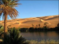 Changements climatiques : explorer toute forme de risques dans les régions sahariennes