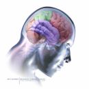 Environ 100.000 Algériens atteints de démence (neurologue)