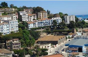 Gestion des nouvelles assemblées,alliances au forceps à Béjaia