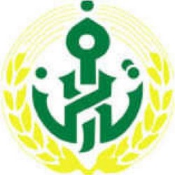 La BADR consacre 400 milliards de DA pour des projets agricoles durant les trois prochaines années