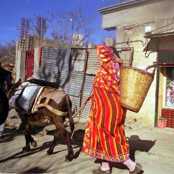 La Kabylie,de plus en plus exsangue,Une région et 36.000 misères