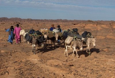 L’Algérie dans la zone la plus exposée au changement climatique