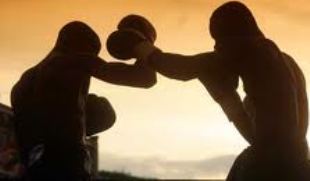 L&rsquo;Algérie lance « Faucons du Désert » pour le championnat de la World series boxing