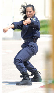 Les polices arabes veulent profiter de l’expérience algérienne