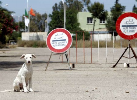 Les raisons pour lesquelles l’Algérie renforce la sécurité de ses frontières avec la Tunisie