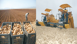 Sécurité alimentaire, Des insuffisances à combler