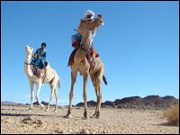 Tourisme : De nouveaux projets pour promouvoir la destination Algérie