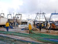 ’’2013, année de la relance’’ du secteur de la pêche et de l’aquaculture (Ferroukhi)