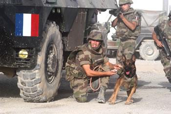 2500 militaires français dans l&rsquo;opération serval au Mali,Gao libérée et le Mujao en perte de vitesse
