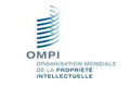 2ème journée de la rencontre de l&rsquo;OMPI à Alger L&rsquo;optimisation du transfert technologique au menu