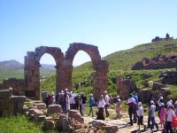 Archéologie : opération de mise en valeur des sites de Khemissa et Madaure