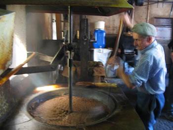 Bordj Bou Arréridj,Cent mille quintaux d&rsquo;olives attendus