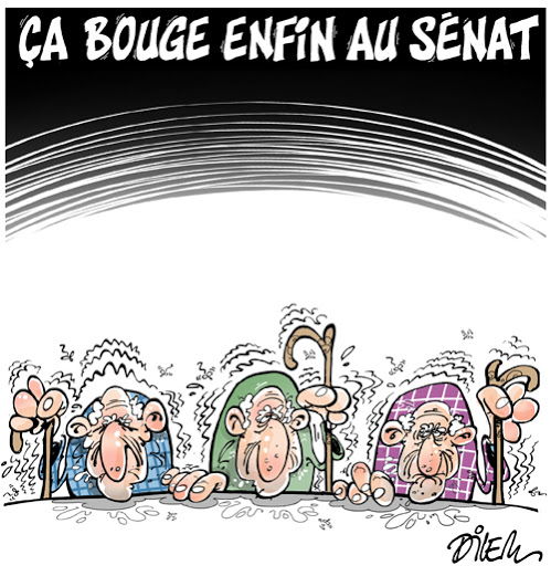 ça bouge enfin au sénat