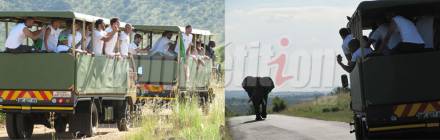 EN : Ils se sont offert un safari à Rustenburg