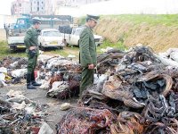 En plus de la lutte contre le vol de câbles à Sidi bel Abbès Un plan d’urgence pour mettre fin aux coupures électriques