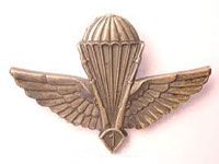 Fin de l’assaut de l’ANP à Tiguentourine