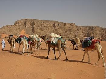 Guerre au Mali et attaque terroriste d&rsquo;In Amenas,un coup fatal pour le tourisme au sud