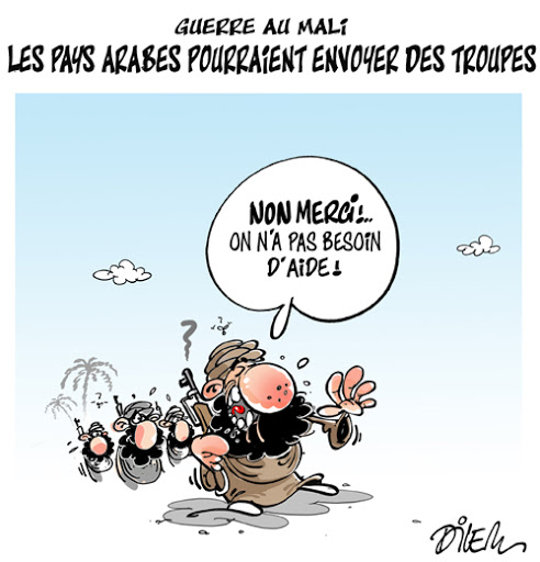 Guerre au Mali,les pays arabes pourraient envoyer des troupes