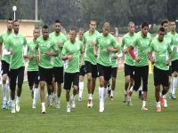 J-1 Algérie-Tunisie : La pression monte d’un cran chez les Verts