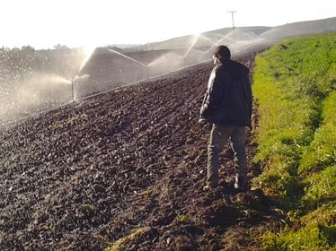 La sécheresse sévit en Algérie, mais elle n’inspire plus les mêmes craintes