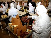 Lancement des travaux du premier marché national des dattes à Biskra