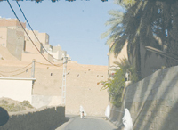 Méconnues, leurs bienfaits sont innombrables ,Réhabiliter les architectures de terre