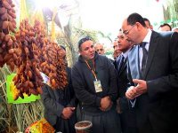 Salon des dattes et du tourisme oasien : priorité à la qualité et au marketing performant