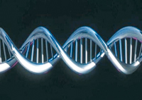 Science : l&rsquo;ADN donne des couleurs à l&rsquo;Histoire
