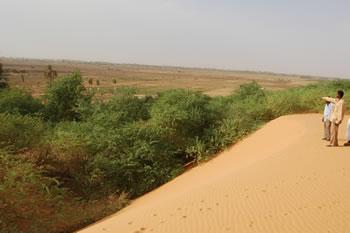 Sécurité alimentaire et souveraineté nationale,La bataille du sud a Commencé