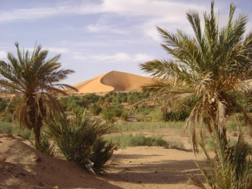 Timimoun,Une école de formation en tourisme