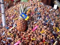 Yennayer, une fête de plus en plus algérienne