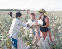 85 ans après, la traite des hommes fait son retour «La gestation pour autrui» : le visage moderne de l’esclavage