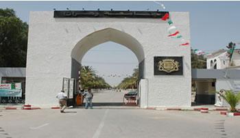 Affaire des faux diplômes universitaires à Oran,Les dessous d’une grande tromperie