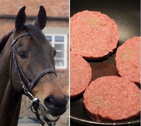Agroalimentaire, scandale de la viande de cheval en Europe L’Algérie est-elle touchée ?