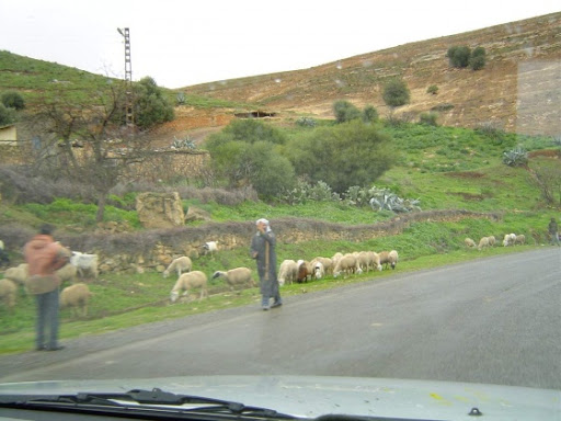 Béjaïa : les habitants de Béni-Mansour espèrent une zone d’activités