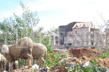 Détournement des terres agricoles,15.000 ha engloutis par le béton depuis 1962