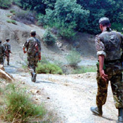 Douze terroristes abattus à Chlef et à Boumerdes par l’ANP
