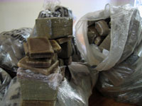 Drogue ,Plus de huit tonnes de kif et deux «klashs» saisis Plus de huit  tonnes de kif traité ainsi que des armes et des