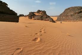 Egypte – Un opposant battu et abandonné ligoté dans le désert