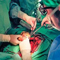 Greffe et don d’organes en Algérie : L’institut national du rein opérationnel en juillet