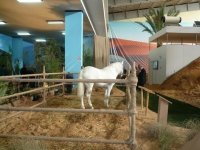 La grande exposition du secteur agricole a attiré plus de 95.000 visiteurs (ministère)