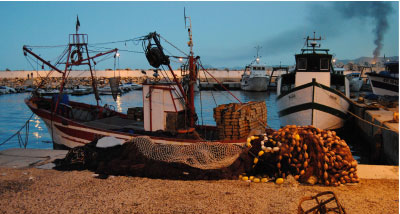 L’Algérie n’est pas à l’abri d’une marée noire
