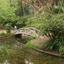 Le Jardin d&rsquo;Essai du Hamma doté d&rsquo;un nouvel espace dédié aux zones humides