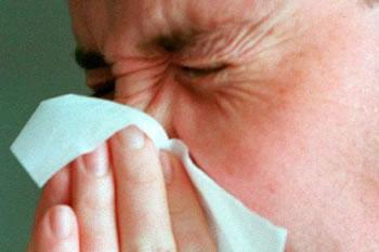 Le ministère de la santé tarde à réagir,La grippe H1N1 fait craindre le pire