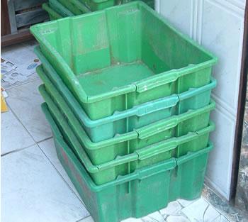 Les laitiers Algérois ont repris le travail Jeudi soir,Les travailleurs obtiennent gain de cause