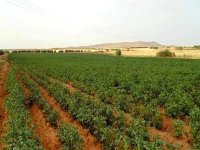 Les « véritables exploitants » des terres privées de l’Etat confortés