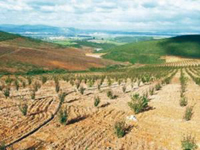 Longtemps délaissée et méprisée ,L’agriculture de montagne de retour