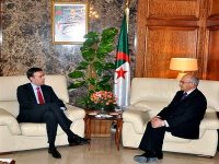 Partenariat dans les énergies renouvelables : des experts algériens prochainement en Allemagne