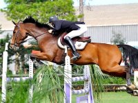 Réactiver le rôle des ligues et des clubs d’équitation pour relancer le sport équestre